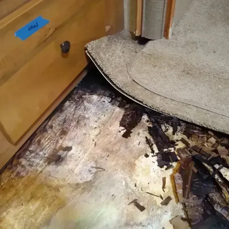 Best Wood Floor Water Damage Service in Sussex County, DE